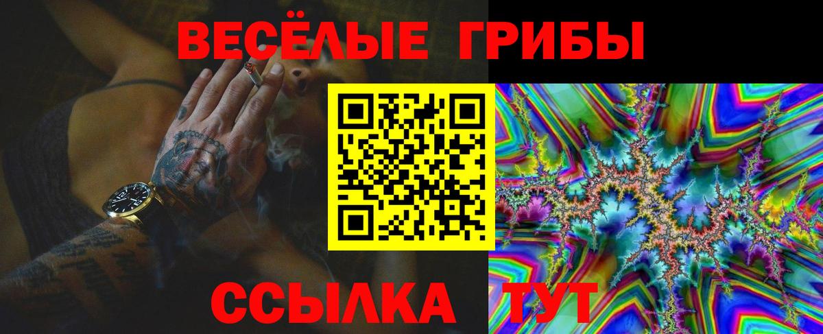 Прохладный  Галлюциногенные грибы Psilocybe  Псилоцибиновые грибы Psilocybine cubensis  Вход с VPN 
